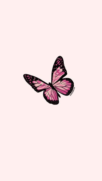 Free download Pink Butterfly Aesthetic Wallpaper.