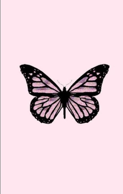 Free download Pink Butterfly Image.