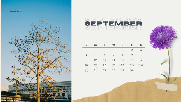 Free download September 2022 Calendar Image.