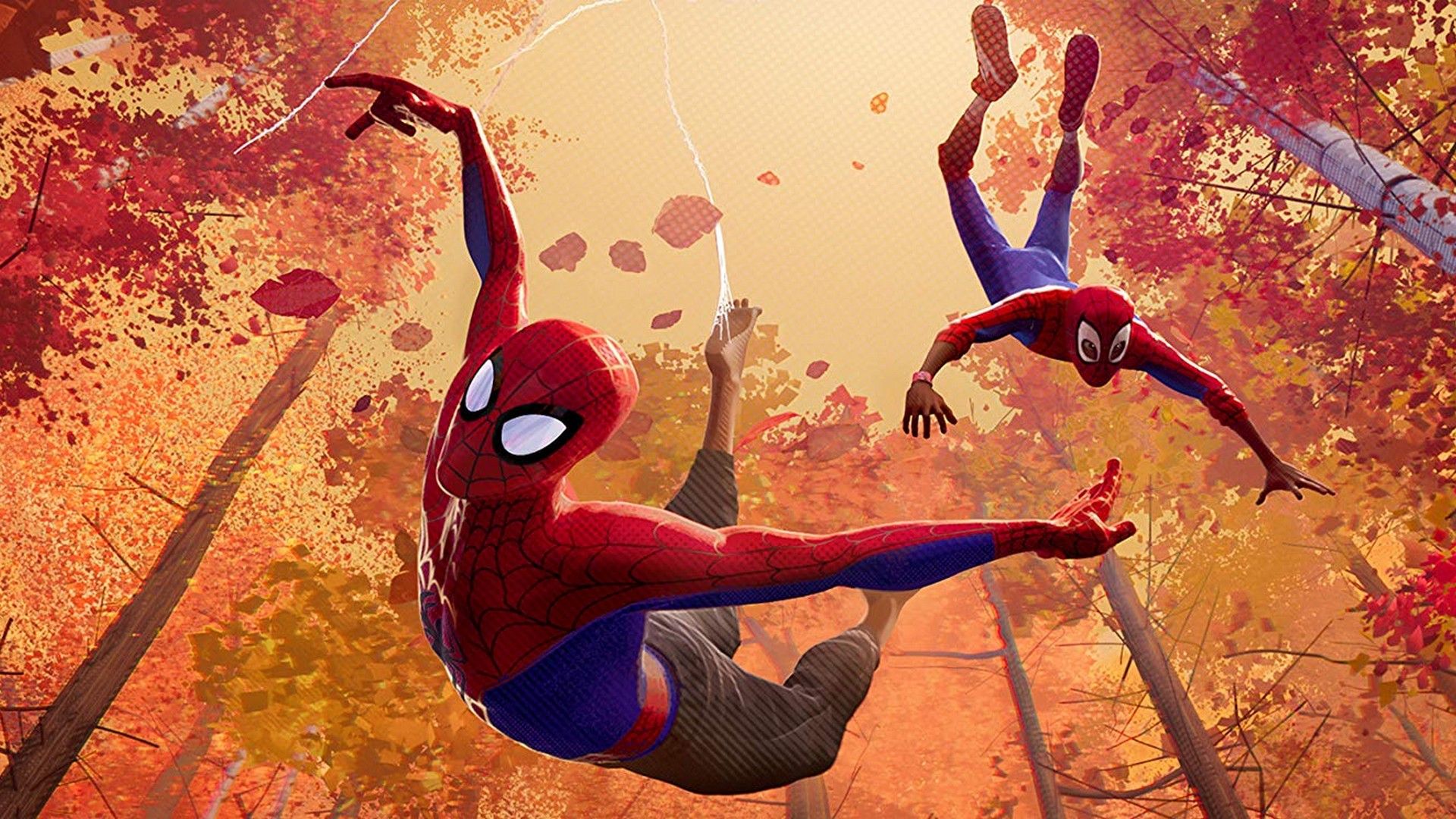 430 SpiderMan Into The SpiderVerse HD Wallpapers and Backgrounds