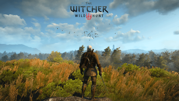 Free download The Witcher Wallpaper.