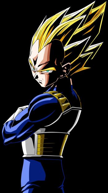 Free download Vegeta Image.