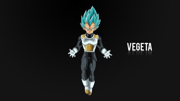 Free download Vegeta Wallpaper HD.