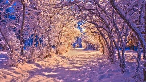 Free download Winter Background HD.