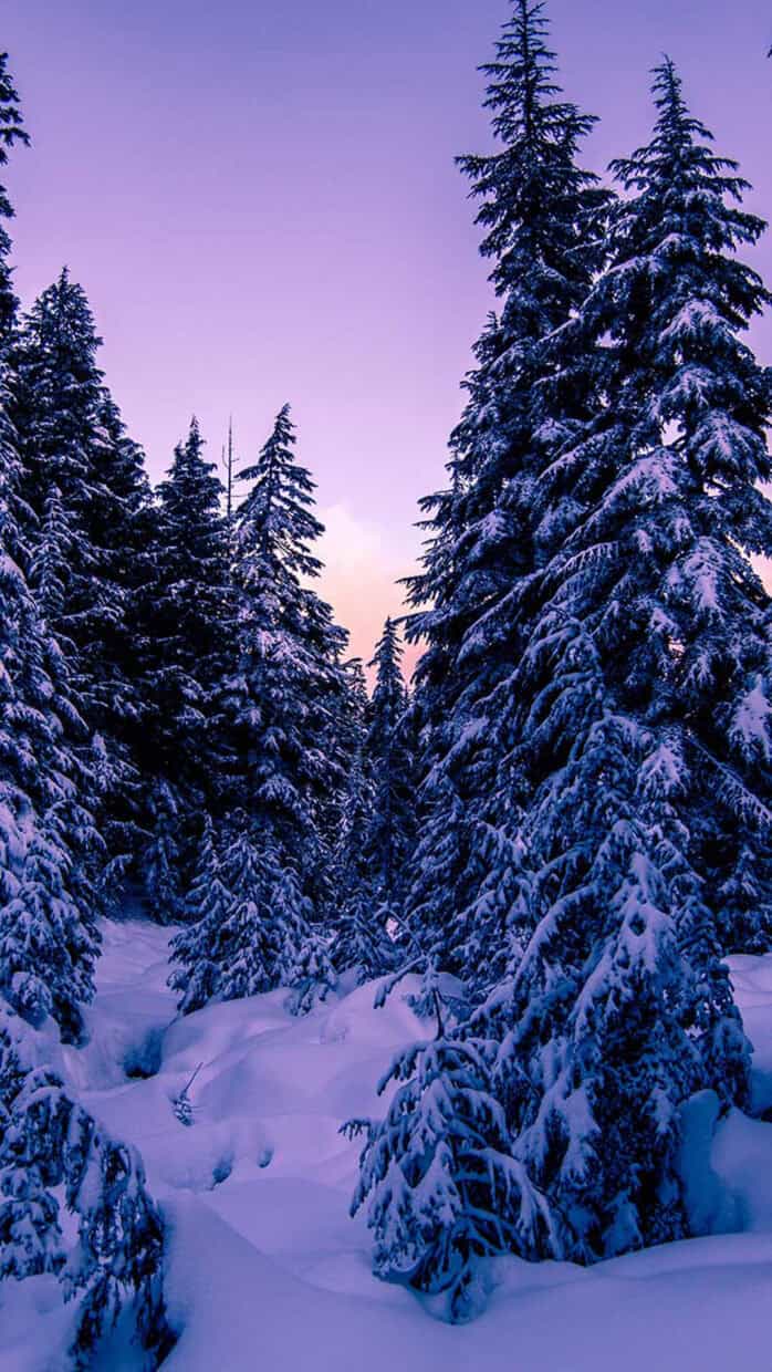 Winter iPhone Wallpaper - PixelsTalk