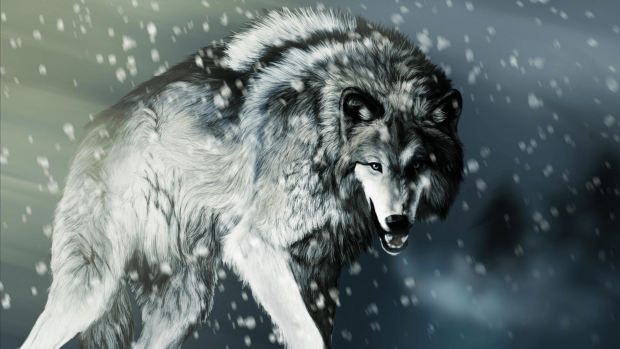 Free download Wolf Backgrounds.