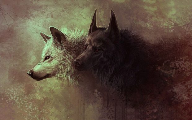 Free download Wolves Image.