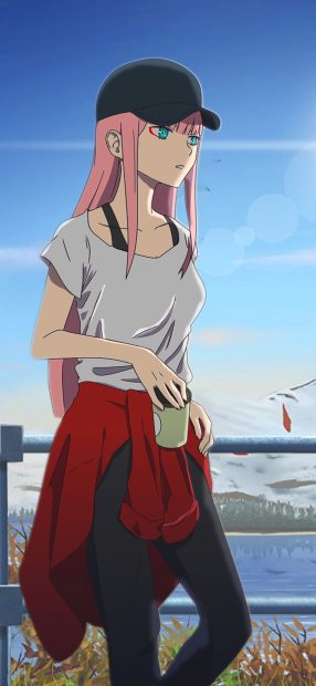 Free download Zero Two Wallpaper HD.