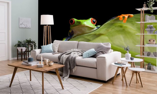 Frog HD Wallpaper Computer.