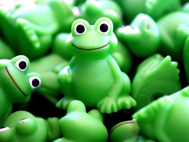 Frog Wallpaper HD.