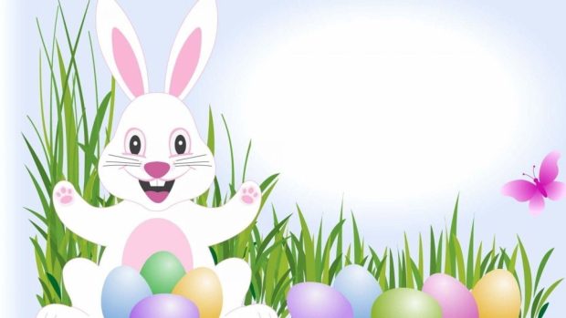 Funny Easter Bunny Wallpaper HD.