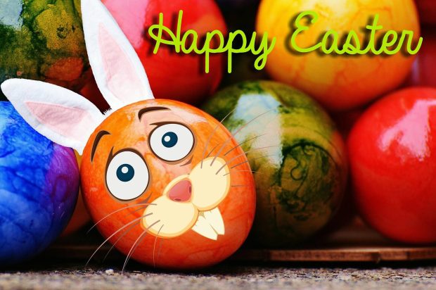 Funny Happy Easter Wallpaper HD.