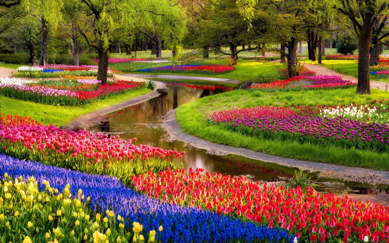 Garden HD Wallpapers - PixelsTalk