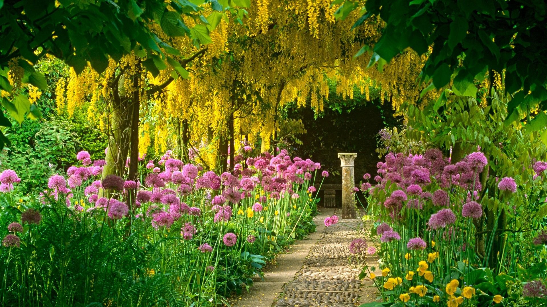 Lovely 3D Garden White Flowers Arched Pathway Design Wallpaper Mural –  beddingandbeyond.club