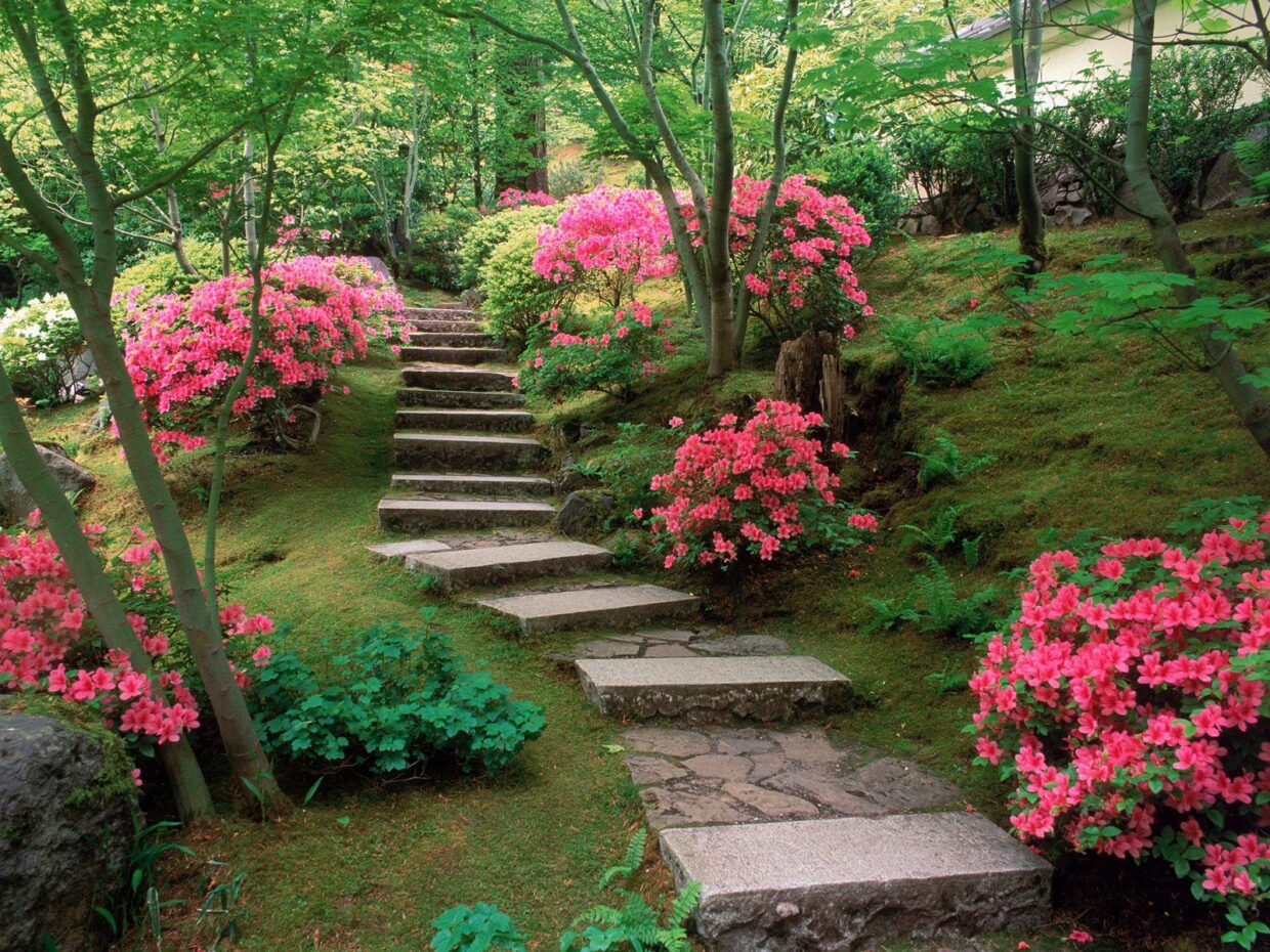 Garden HD Wallpapers - PixelsTalk