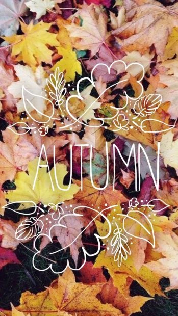 Girly Fall Leaves Wallpapers iPhone (2).