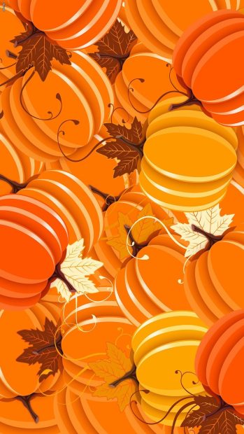 Girly Pumpkin iPhone Wallpapers (1).