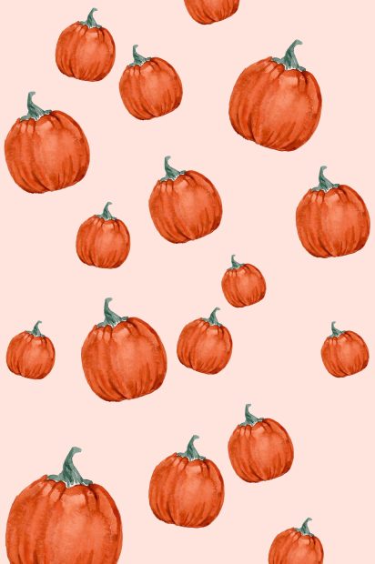 Girly Pumpkin iPhone Wallpapers (4).