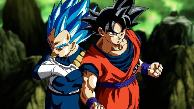 Goku And Vegeta Wallpaper HD.