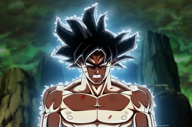 Goku Ultra Instinct HD Wallpapers Computer.