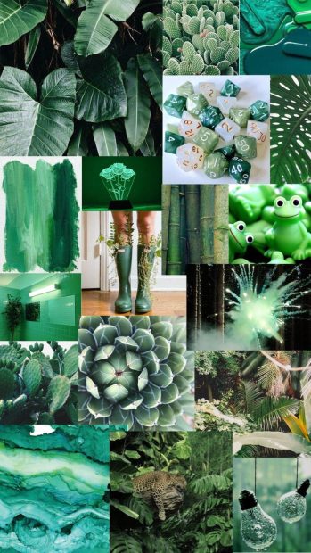 Green Aesthetic Background HD fREE DOWNLOAD.