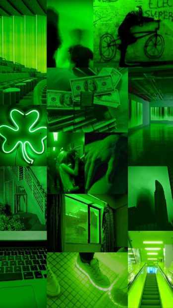 Green Aesthetic Pictures Free Download.