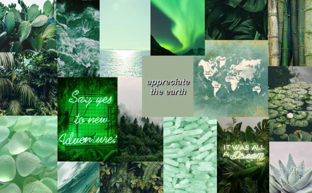 Green Aesthetic Wallpaper HD Cool.