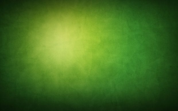 Green HD Wallpaper 1920x1200.