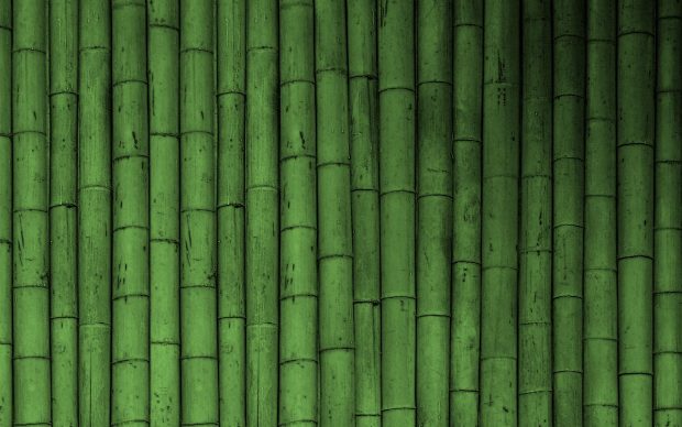 Green HD Wallpaper Free download.
