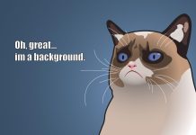 Grumpy Cat HD Wallpapers Free download.