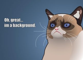 Grumpy Cat HD Wallpapers Free download.