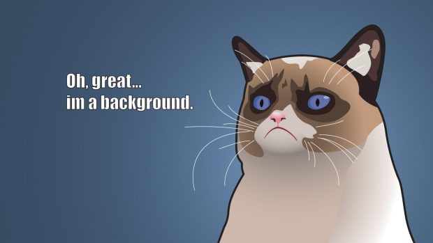 Grumpy Cat HD Wallpapers Free download.