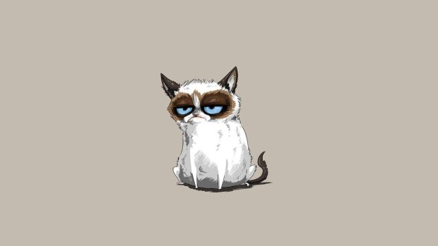 Grumpy Cat Wallpapers Desktop.