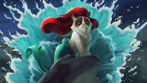 Grumpy Cat Wallpapers Free Download.