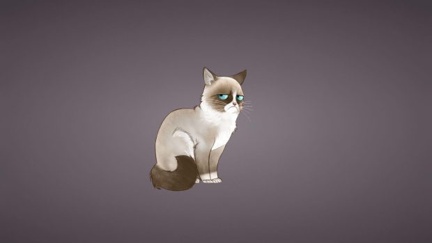 Grumpy Cat Wide Screen Wallpapers.