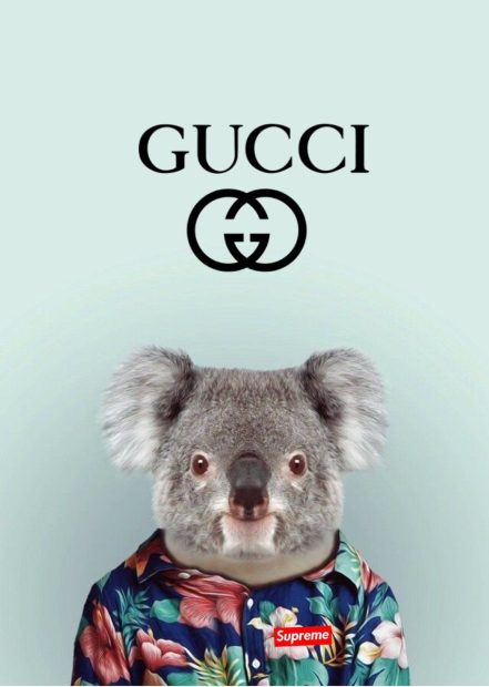 Gucci HD Wallpaper Free download.