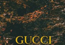 Gucci Wallpaper HD.