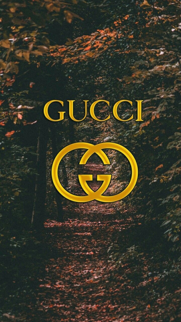 GUCCI Gucci Android HD phone wallpaper  Pxfuel