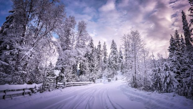 HD Wallpaper 1366x768 Winter.