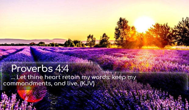 HD Wallpaper Bible Verse.