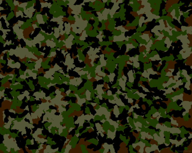 HD Wallpaper Camouflage.