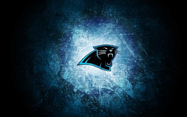 HD Wallpaper Carolina Panthers.