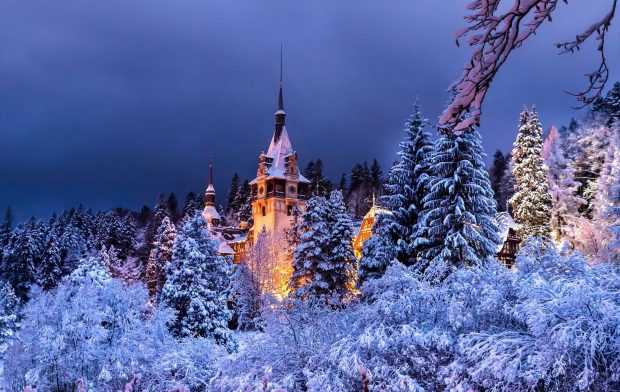 HD Wallpaper Disney Winter.