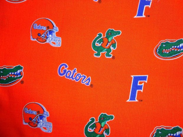 HD Wallpaper Florida Gators.