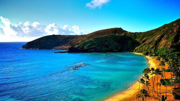 HD Wallpaper Hawaii.