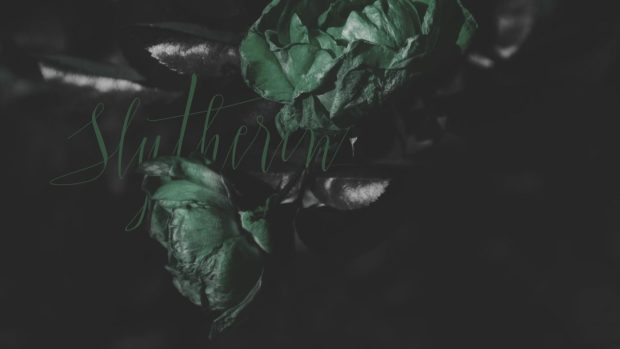 HD Wallpaper Slytherin Aesthetic.