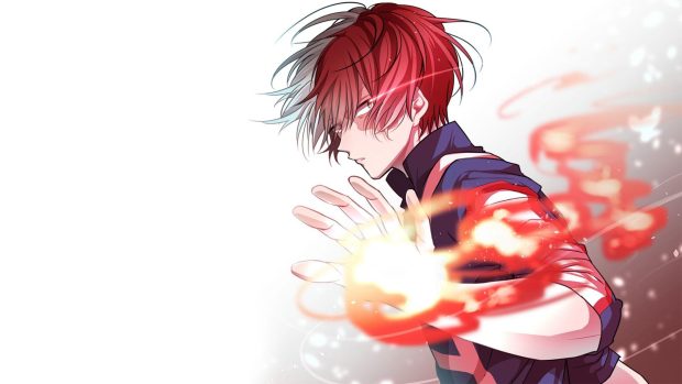 HD Wallpaper Todoroki.