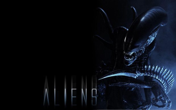 HD Wallpaper Xenomorph.