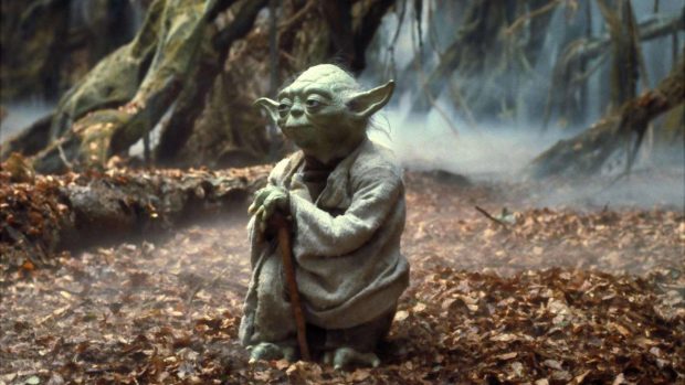 HD Wallpaper Yoda.