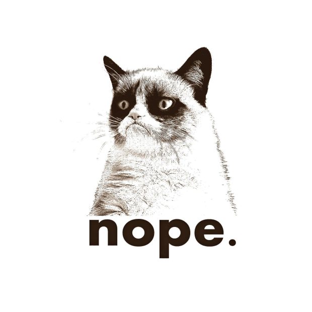 HD Wallpapers Grumpy Cat.